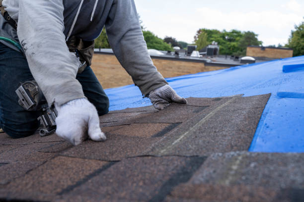 Best Storm Damage Roof Repair  in Goodland, IN